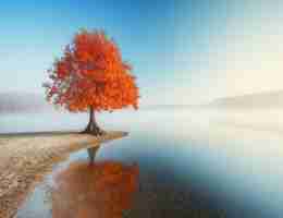 ai脚‌本‌插‌件‍合‍集‍怎‌么﻿安​装‍